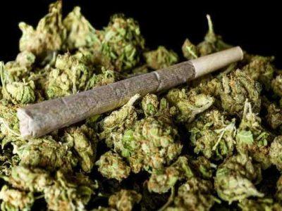 کشف ۱۲۹ کیلوگرم گل توسط مأموران گمرک در مرز آستارا