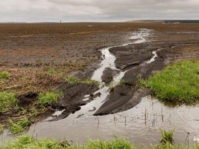بارندگی در خراسان جنوبی از میانگین بلندمدت پیشی گرفت