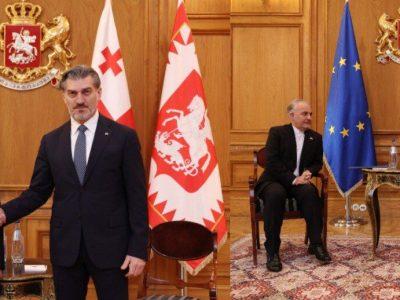 دیدار خداحافظی سفیر ایران با رئیسجمهور گرجستان