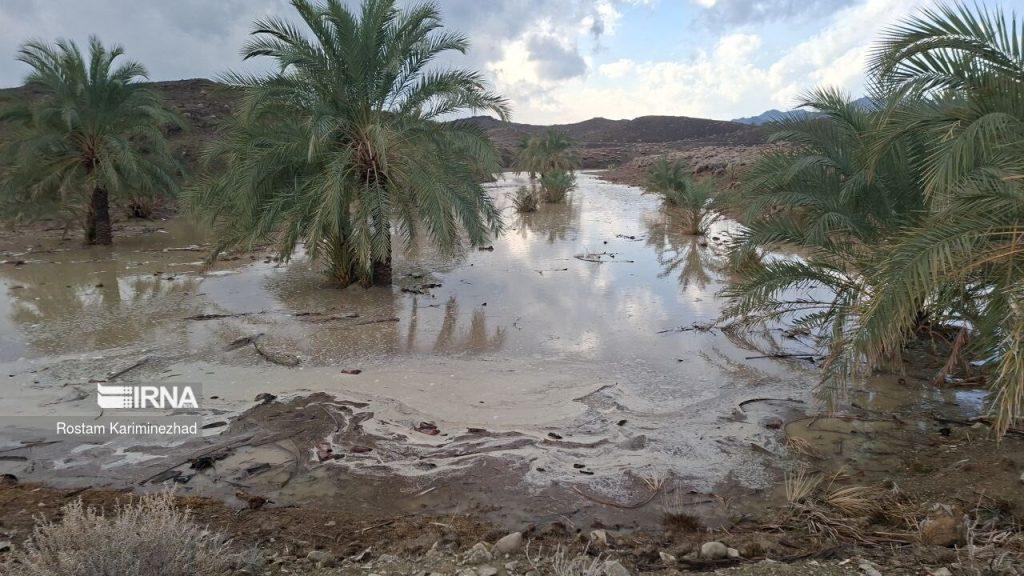 اندیشه شیروان