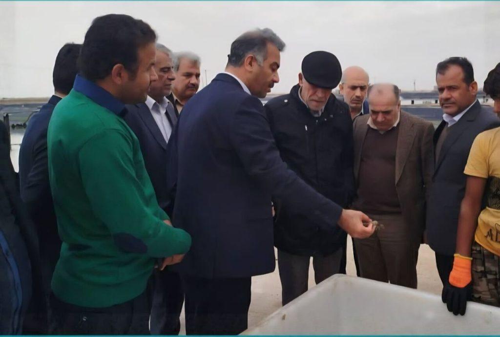 اندیشه شیروان