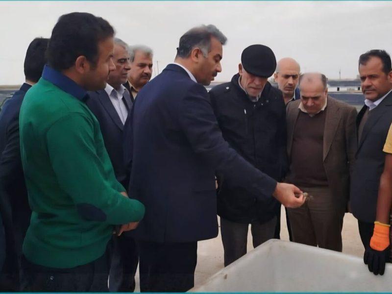 عبدالعلیزاده: توسعه پرورش میگو ،زمینه ساز تحقق اقتصاد دریامحور است