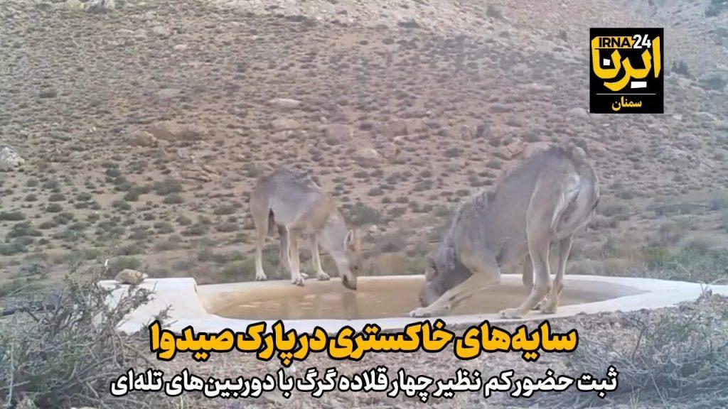 اندیشه شیروان