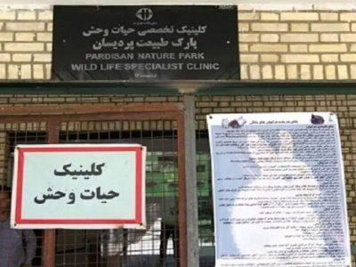 قرنطینه مرکز بازپروری پردیسان پس از شیوع بیماری/هشدار درباره نقش حیوانات بلاصاحب