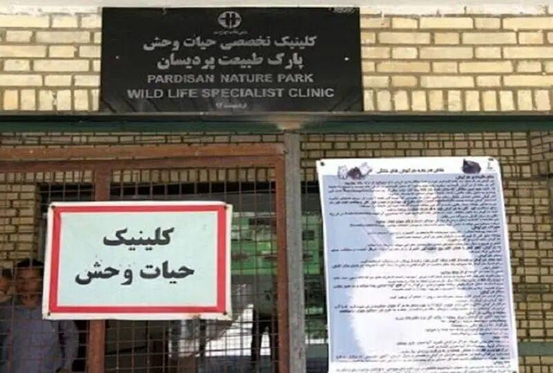 قرنطینه مرکز بازپروری پردیسان پس از شیوع بیماری/هشدار درباره نقش حیوانات بلاصاحب