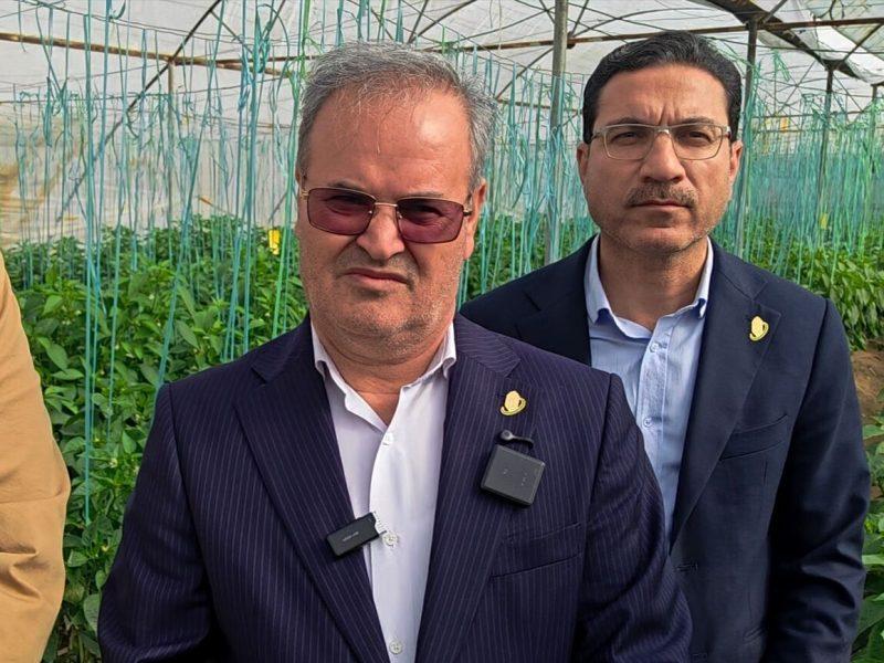 اصلاح ساختار سازمان تحقیقات کشاورزی با حفظ امنیت غذایی آغاز میشود+فیلم