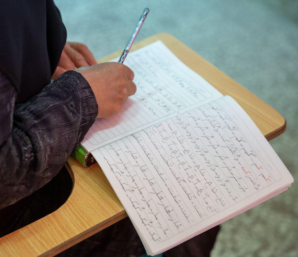 فعالیت ۳۰ پایگاه سوادآموزی در خراسان‌شمالی برای پوشش ۷۲۶ نفر