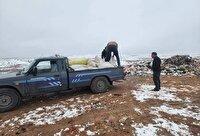 اندیشه شیروان