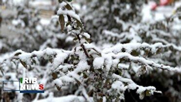 بارش برف خراسان شمالی را سفید پوش کرد