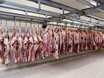 سرمایه‌گذار ساخت پالایشگاه دام خراسان شمالی مشخص شد