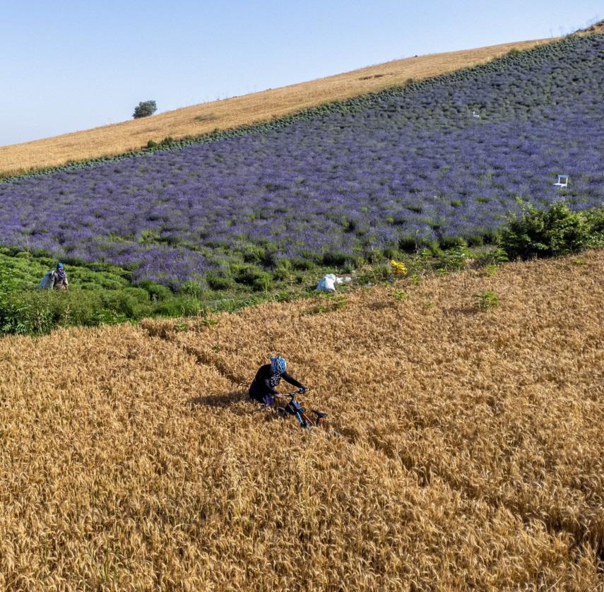 ‍ بازدید استاندار خراسان شمالی از کارخانه قند و شهرک صنعتی شیروان / تأکید بر پیگیری ملی مشکلات و تقویت مسئولیت‌های اجتماعی