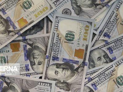 مطالبات ارزی واردکنندگان کالاهای اساسی بهزودی تعیین تکلیف میشود