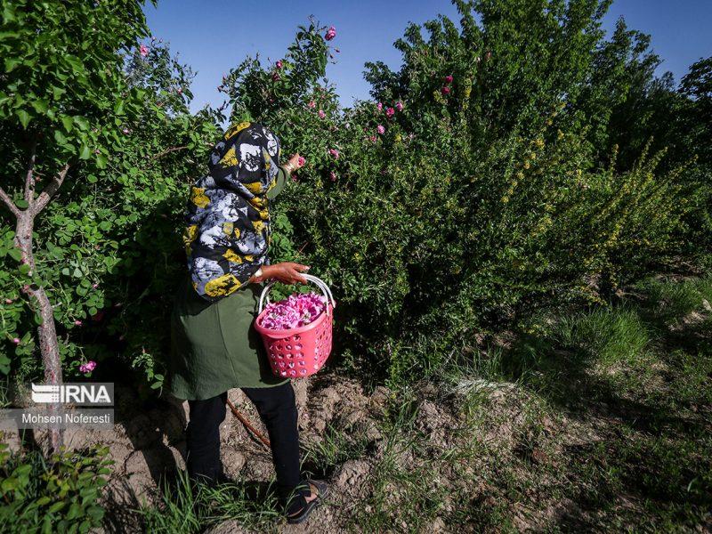 شرکت ۲۴ هزار زن سرپرست خانوار در برنامههای اوقات فراغت/افزایش سه برابری اعتبار این طرح