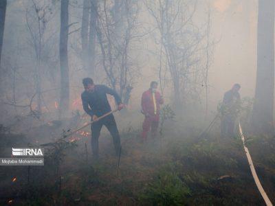 پنج هکتار از عرصههای جنگلی گیلان دچار حریق شد| فیلم