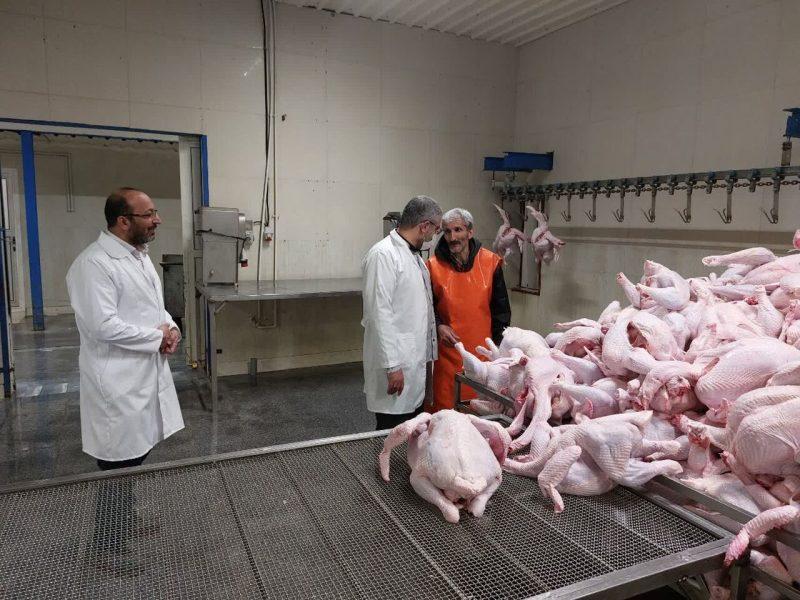 کشتارگاه‌های زنجان به طور مستمر نظارت می‌شود