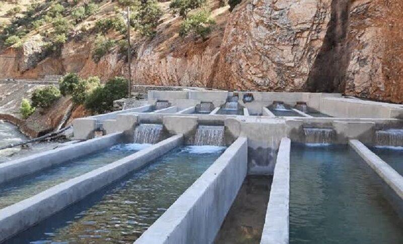 ظرفیت صنعت ساختمان و شیلات کرمانشاه با محوریت بخش خصوصی فعال میشود