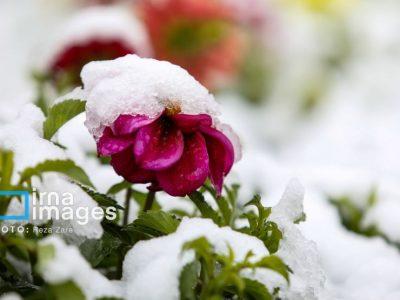 زنجان به عنوان دومین مرکز استان سرد کشور ثبت شد