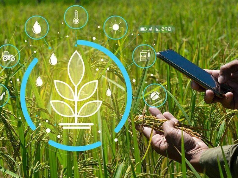 مدیریت هوشمند زمین؛ تلفیق حفظ زمین و توسعه تولید