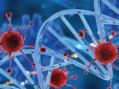 پیشگیری و تشخیص زودهنگام سرطان، کلید مقابله با دومین عامل مرگومیر در فارس