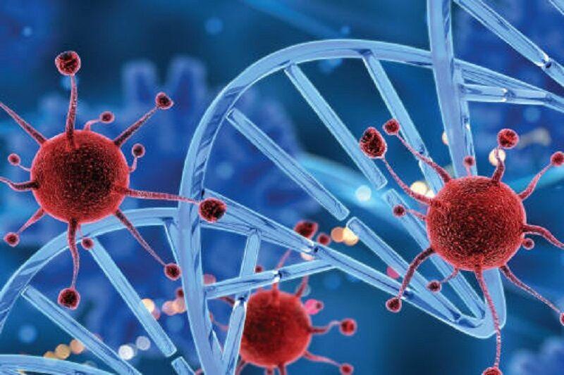 اندیشه شیروان