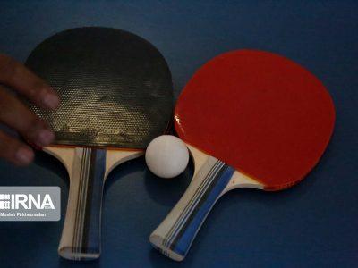 بیش از ۵۰۰ تنیسور در زنجان ساماندهی شدهاند