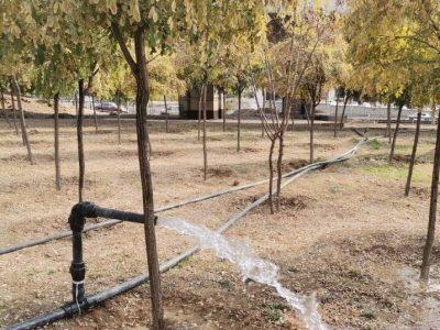 تصفیه خانه محلی راهکار اراک برای حیات فضای سبز