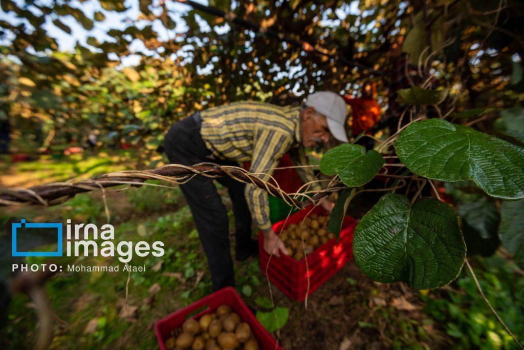 اندیشه شیروان