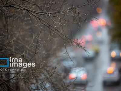 بارش باران و برف در اغلب نقاط کشور/افزایش دمای هوا در نوار شمالی