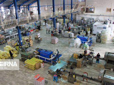 صدور اخطاریه و جریمه برای هفت واحد تولیدی در زنجان