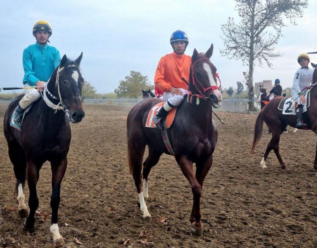 اندیشه شیروان