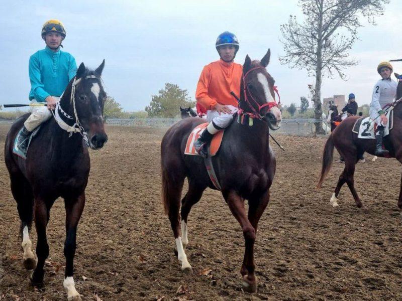 پادشاهی سرعت در روز دوم هفته دهم اسبدوانی گنبدکاووس