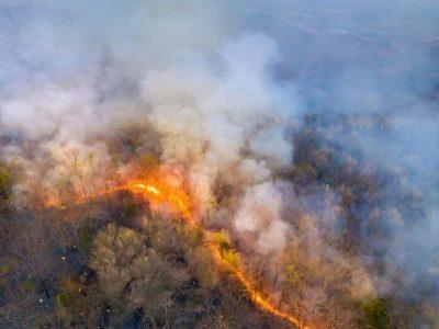 دود آتشسوزیهای طبیعی، خطرناک و تهدیدکننده کیفیت هوا