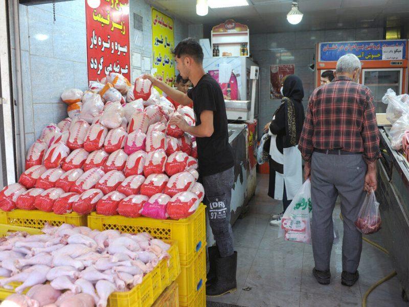 ممنوعیت قطعه بندی مرغ در مغازه‌های زنجان با هدف کاهش آلودگی‌های ثانویه است