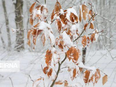 کاهش محسوس دما از شنبه شب در استان مرکزی