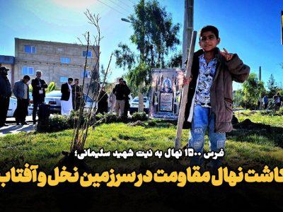 فیلم| کاشت نهال مقاومت در سرزمین نخل و آفتاب؛ غرس ۱۵۰۰ نهال به نام شهید سلیمانی