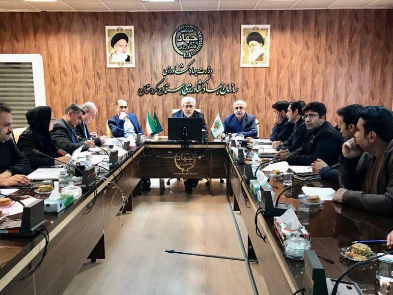 معاون استاندار کردستان: توجیه اقتصادی طرحهای تولیدی به دقت بررسی شود