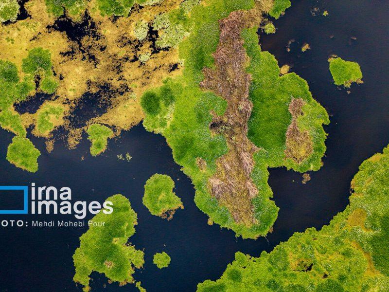 فرصتسوزی برای جولان شیطان در مازندران