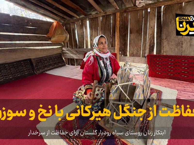 فیلم| حفاظت از جنگل هیرکانی با نخ و سوزن