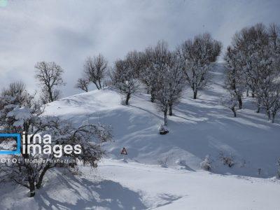 پیرانشهر پربارشترین شهر آذربایجانغربی؛ برف و باران ادامه دارد