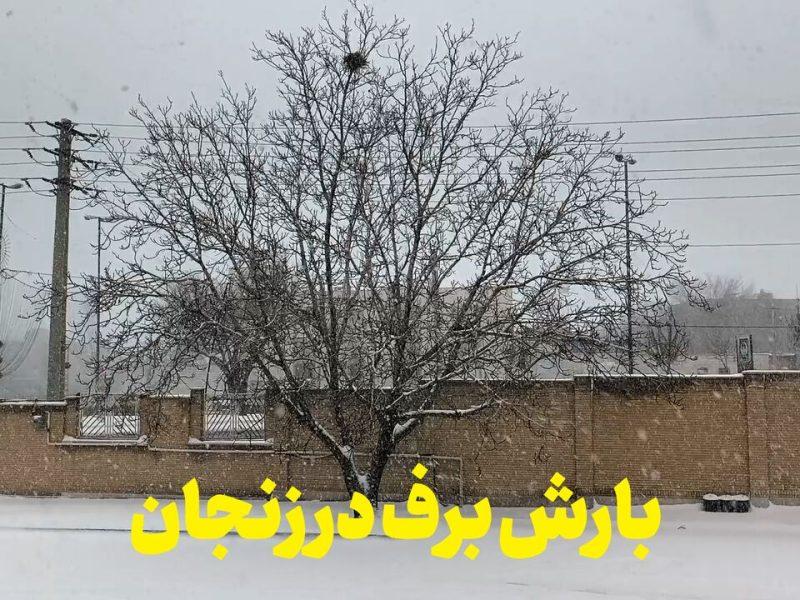 فیلم | بارش برف در زنجان
