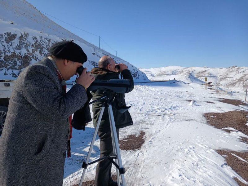پایش زمستانی پرندگان آبزی زنجان در هشت سایت در حال اجراست
