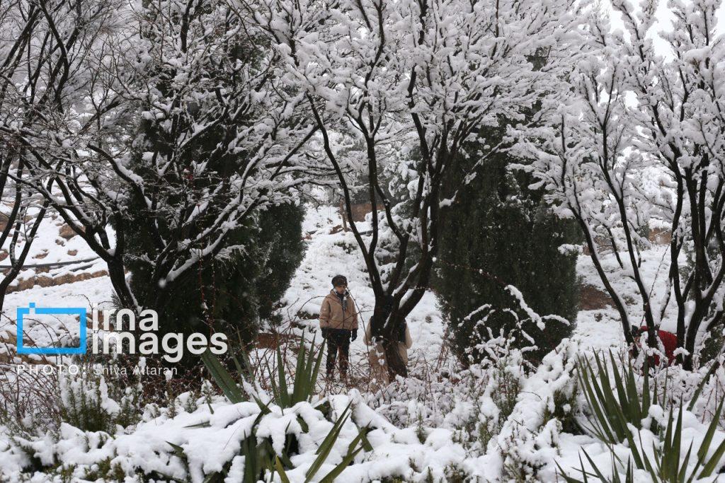 اندیشه شیروان
