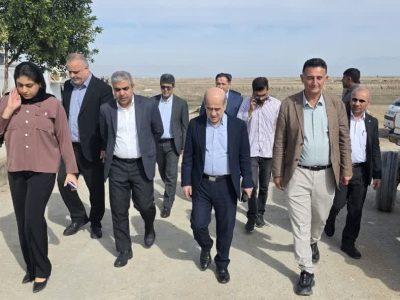 رییس سازمان شیلات: آبزیان، محور تامین امنیت غذایی کشور است