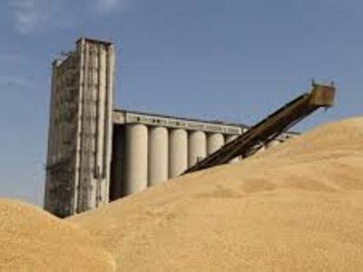 تضمین ذخیره راهبردی گندم در مازندران