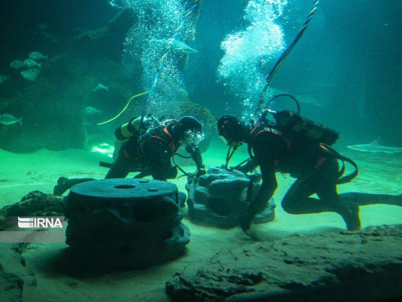 حدود ۲۰۰ زیستگاه مصنوعی بازسازی ذخایر آبزیان در قشم ایجاد شد