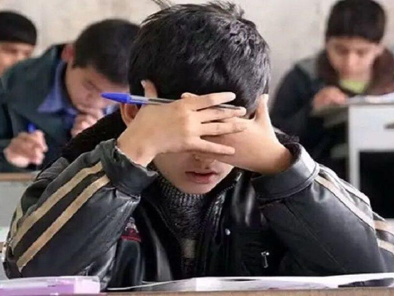 زنجان در جمع پنج استان برتر کشور در اجرای برنامه ملی نماد است