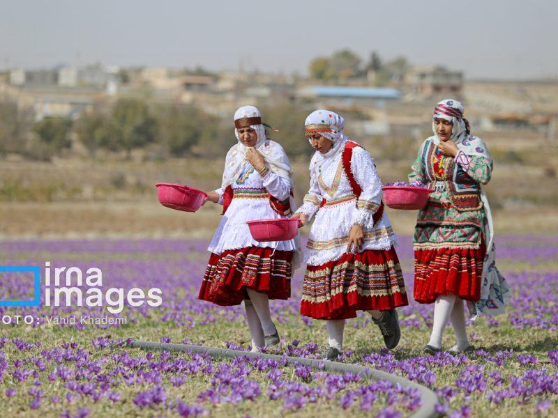 روستاها دیگر خالی نمی‌شوند؟ ترفند دولت برای جذب نسل جدید به کشاورزی