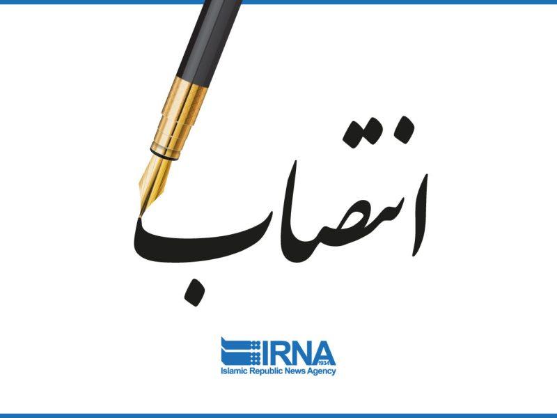 مدیرعامل توانیر تغییر کرد/ معاون جدید برق وزارت نیرو منصوب شد