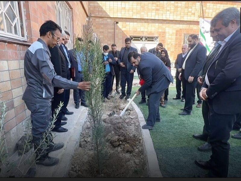 فیلم | کشت ۵ هزار اصله نهال در مدارس سیستان و بلوچستان با مشارکت جهاد کشاورزی
