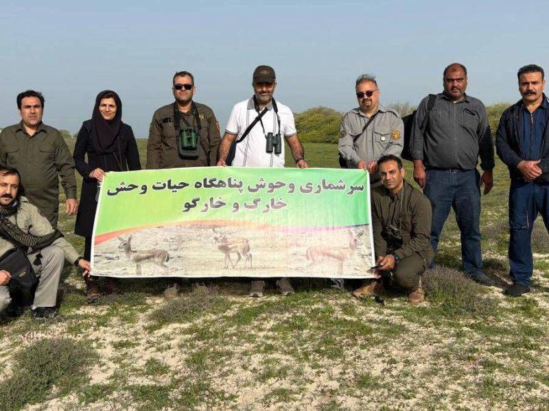 نخستین بار سرشماری آهوان اثر طبیعی ملی جزیره خارگو با پهپاد انجام شد